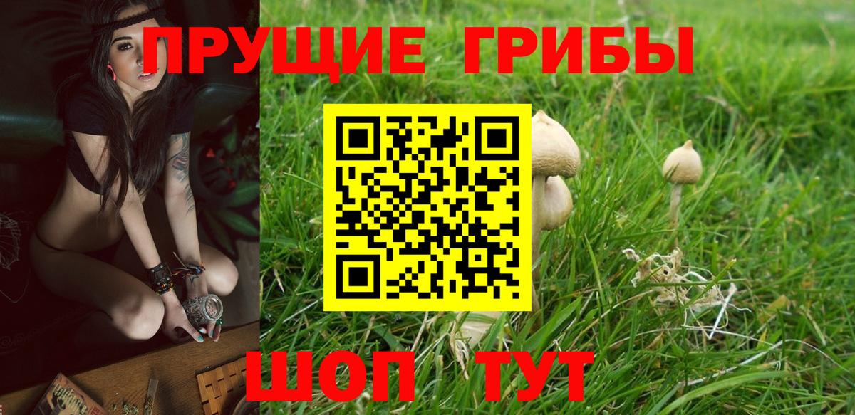 Псилоцибиновые грибы ЛСД Гурьевск
