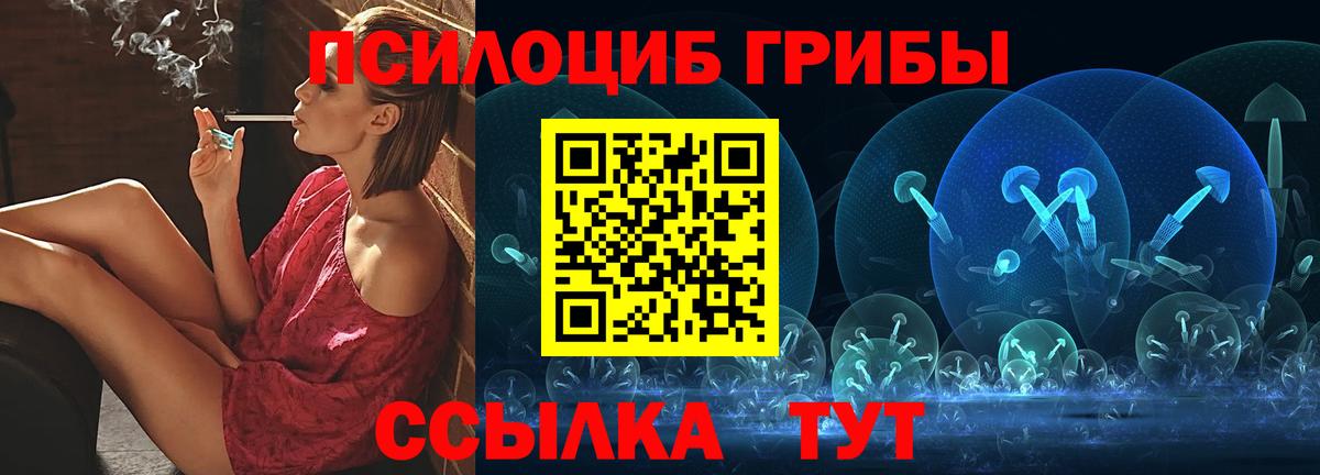 Гурьевск  Галлюциногенные грибы MAGIC MUSHROOMS  Псилоцибиновые грибы мицелий  Вход с VPN 